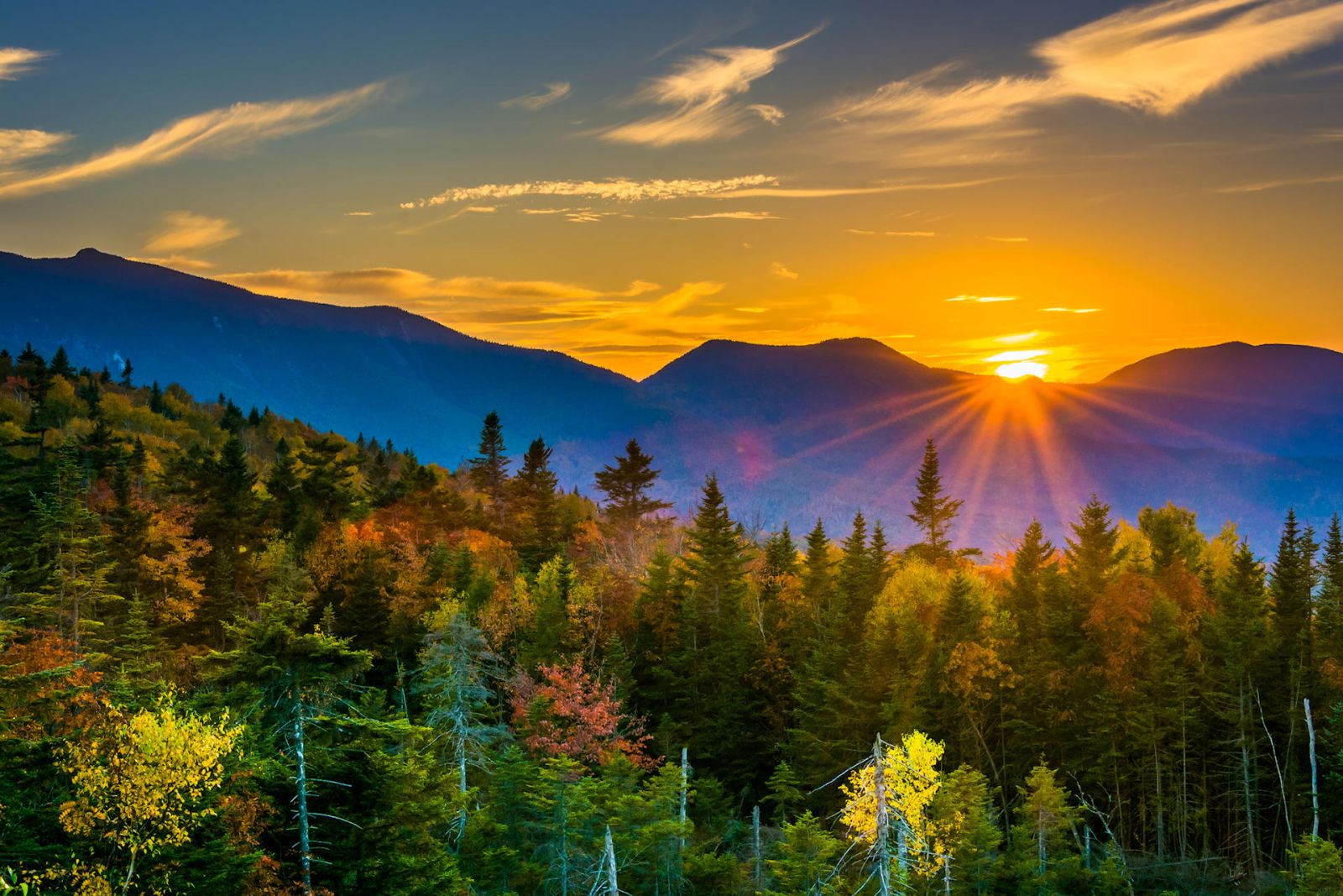 New Hampshire Website Design Company